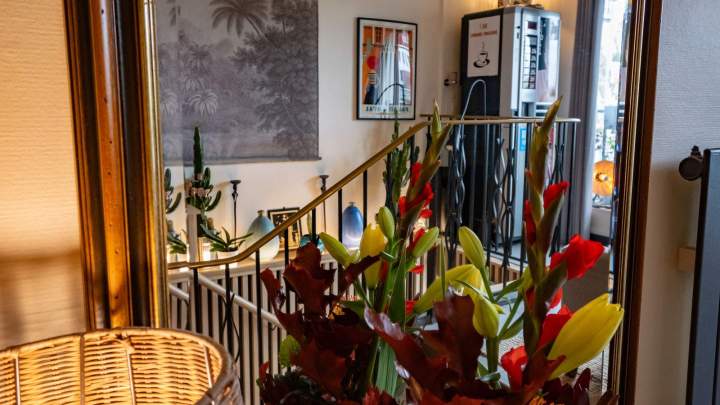 Guesthouses and B&Bs in Choisy le Roi